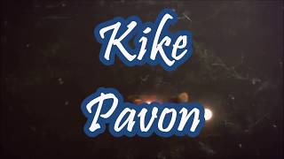 Ganas de Vivir Remix Kike Pavon Feat Alex Zurdo Manny Montes LETRA [upl. by Einaj550]