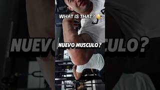 Hernia muscular o lipoma🧐 gimnasio gym shortgym short culturismo gymtips consejosgym [upl. by Sucramraj]