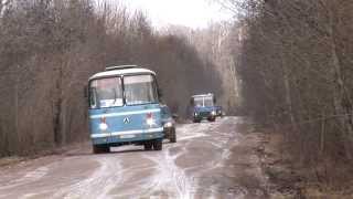 LAZ 695 and Ikarus 256 buses [upl. by Barnaba]