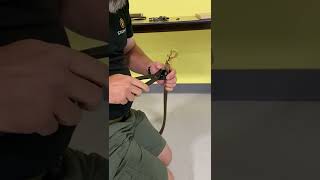 How to Make a Biothane Leash [upl. by Philina]