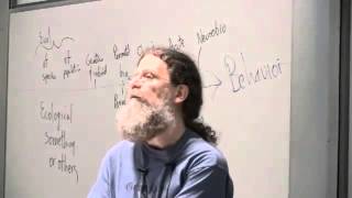 Dr Robert Sapolsky on Human Polygamy [upl. by Nazarius530]