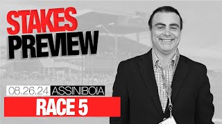 Assiniboia Race 5 Stakes Preview  August 26 2024 [upl. by Hannasus]