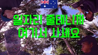 호주 맥케이에서 살뻔한 썰 A story of almost living in Mackay Australia EP8 [upl. by Idnam]