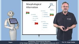 MOR106  Morphological Alternation [upl. by Ainerbas257]