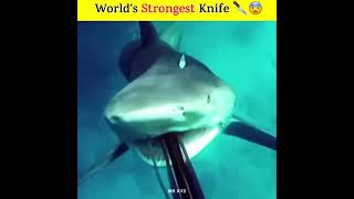 Worlds Most Dangerous Knife 🤯 FactsMine MRINDIANHACKER shorts ytshorts viral [upl. by Snowman]