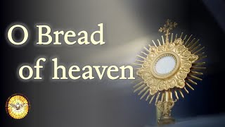 O Bread of Heaven  Hymns old and new  Emmaus Music [upl. by Cianca]