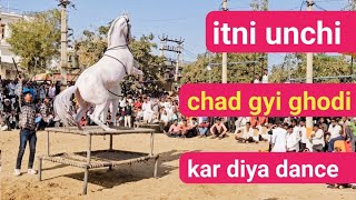 itni unch ko jhunjhunu ki ghodi hi Chad sakti hai।horse।horse dance [upl. by Aker]