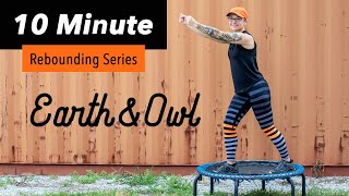 10 Minute Beginner Rebounding Workout FUN with Choreography [upl. by Bradstreet]