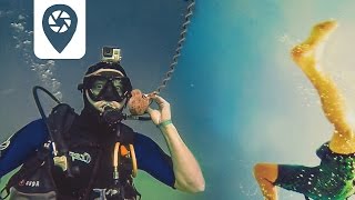 GoPro Kite amp Dive Hamata KiteVillage [upl. by Nolla556]