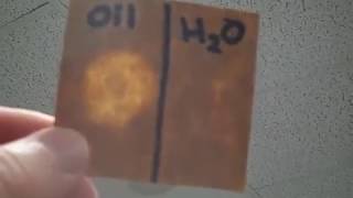 ⌬Brown Paper Test for Lipids  Mr Pauller [upl. by Boyd327]