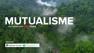 MUTUALISME  Film Dokumenter Imbal Balik Hutan Hujan Tropis dan Manusia [upl. by Hecklau321]