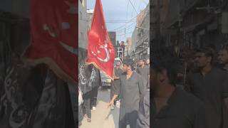 Labaik Ya Hussain As shortsvideo shorts chehlum2024 [upl. by Torrin666]