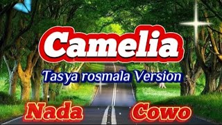 CAMELIA Nada Cowo Karaoke  Tasya Rosmala Version  HRhoma Irama [upl. by Schweitzer]