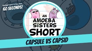 Differences Between a Bacterial Capsule and Viral Capsid  Amoeba Sisters Shorts [upl. by Eusassilem]