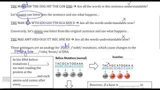 DNA and Protein Synthesis IV Video III  Frameshift Mutations [upl. by Ettenoitna]