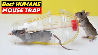 Best Humane Mouse amp Rat Trap A Safe and Effective Solution for Rodent Control [upl. by Sabino]