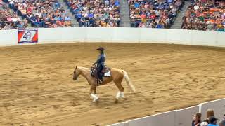 Luke Gingerich and Tinseltowns Whizard Quarter Horse Congress 2023 Open Freestyle Reining [upl. by Harrie]