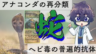 【生命科学ニュース】ヘビの最新研究について話そう【アナコンダの再分類ヘビ毒の普遍的抗体】 [upl. by Eibo]