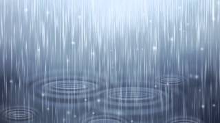 Nature Sounds Rain Sounds One Hour for Sleeping Sleep Aid for Everybody [upl. by Sorensen]