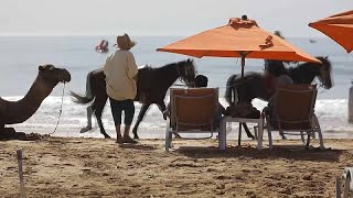 Soleil et prix bas  des retraités français font le choix de passer lhiver au Maroc [upl. by Barber]