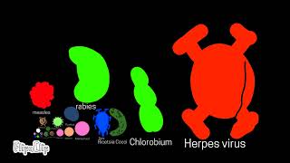 VIRUS AND BACTERIAS SIZE COMPARISON UPDATE 2022 [upl. by Ynamrej]