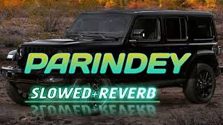 PARINDEY SONG SLOWEDREVERB LOFI SONG NEW LETEST SLOWED REVERB SONG [upl. by Eissehc]