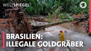 Unter Goldgräbern – Drei Tage im illegalen Camp [upl. by Adnalahs]