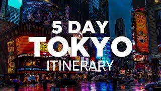 Tokyo FiveDay Itinerary  Your Perfect Travel Guide For a 5 Day Trip [upl. by Eimam]