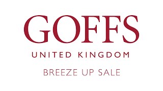 Goffs United Kingdom  Breeze Up Sale 2016  20th April [upl. by Kalin]