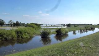 Elbe Hochwasser am Zollenspieker Hauptdeich am 09062013 [upl. by Buford]