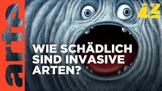 Sind invasive Arten besser als ihr Ruf  42  Die Antwort auf fast alles  ARTE [upl. by Okin]