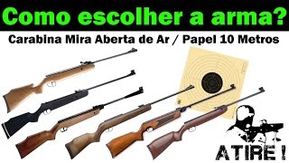 Qual arma escolher Carabina Mira Aberta de Ar  Papel 10 Metros [upl. by Jennica]