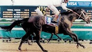 Top 10 Fastest Horses of the Kentucky Derby [upl. by Thorncombe]