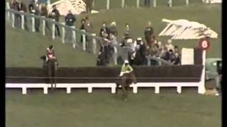 Bregawn The 1983 Cheltenham Gold Cup [upl. by Atinrev]