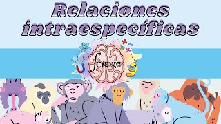 Relaciones INTRAespecíficas  Ejemplos  Competencia y Colaboración [upl. by Lorrimer162]