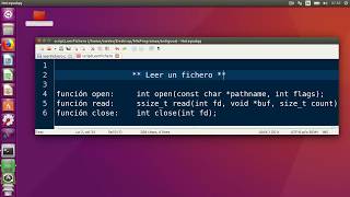 Leer fichero C linux open read  close [upl. by Earezed560]