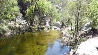 Sabino Canyon Tucson Arizona [upl. by Allerie438]