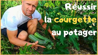 RÉUSSIR LA COURGETTE AU POTAGER [upl. by Benedick679]