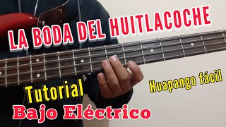 La Boda del Huitlacoche  Tutorial Bajo Eléctrico Huapango Fácil Cómo tocar la boda del huitlacoche [upl. by Assetal]