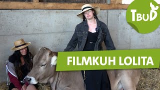 Eine Kuh beim Film  Tiere bis unters Dach  SWR Plus [upl. by Petr73]