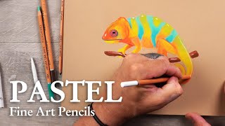 CRETACOLOR  PASTEL  Fine Art Pastel Pencil  CHAMELEON [upl. by Sirron]