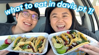 what to eat in davis part 1 😋 🌮🧋🥟 day 1 vlog [upl. by Naivat]