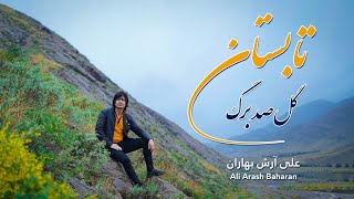 Gul Sadbarg  Ali Arash Baharan  New Hazaragi Malistani Song آهنگ جدید هزارگی  گل صد برگ تابستان [upl. by Asikal121]