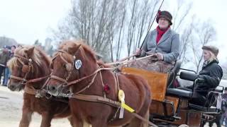 Kalter Markt Ellwangen [upl. by Ackley]