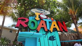 Awesome day in Roatan Honduras  Shore Excursions Group [upl. by Adnohryt779]