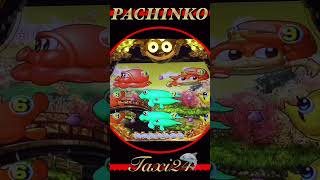 PACHINKO海物語IN JAPAN2024年7月25日 [upl. by Rumilly964]