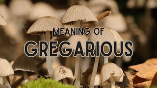 What is the meaning of Gregarious [upl. by Adnilahs]