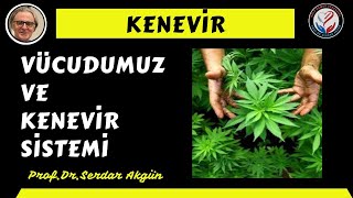 Sağlık Kenevir Vücudumuz ProfDrSerdar AkgünT ıp Videoları [upl. by Nalyorf]