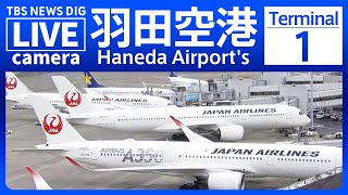 【ライブ】羽田空港 第1ターミナルのライブカメラ 現在の様子は？Haneda Airports Terminal 1 TBS NEWS DIG [upl. by Aksehcnarf]