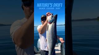 Chinook Salmon fishing  the Puget Sound X Pt Wilson Dart jigging tacoma cooking [upl. by Dlonra246]